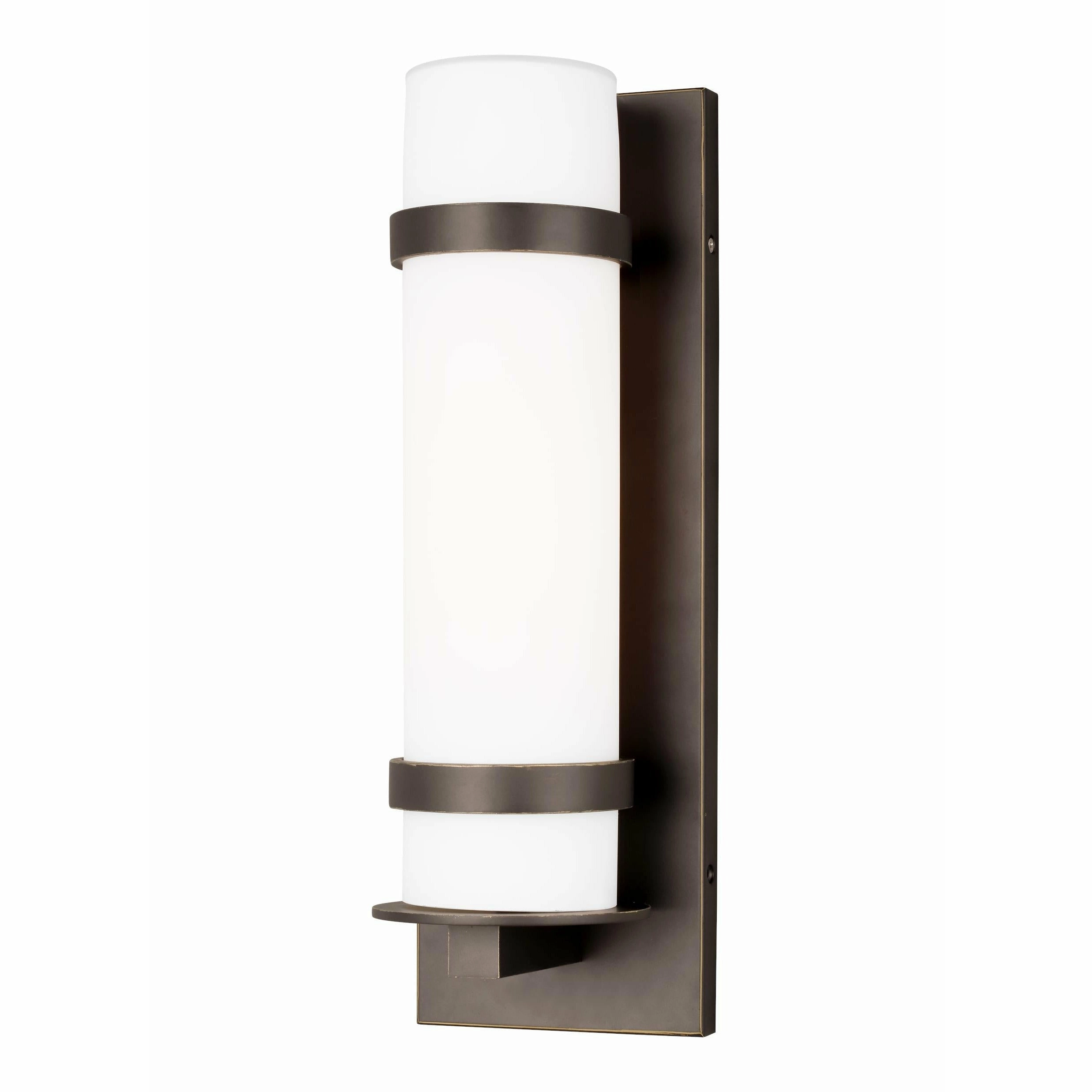 Alban Medium 1-Light Outdoor Wall Light (with Bulb)
