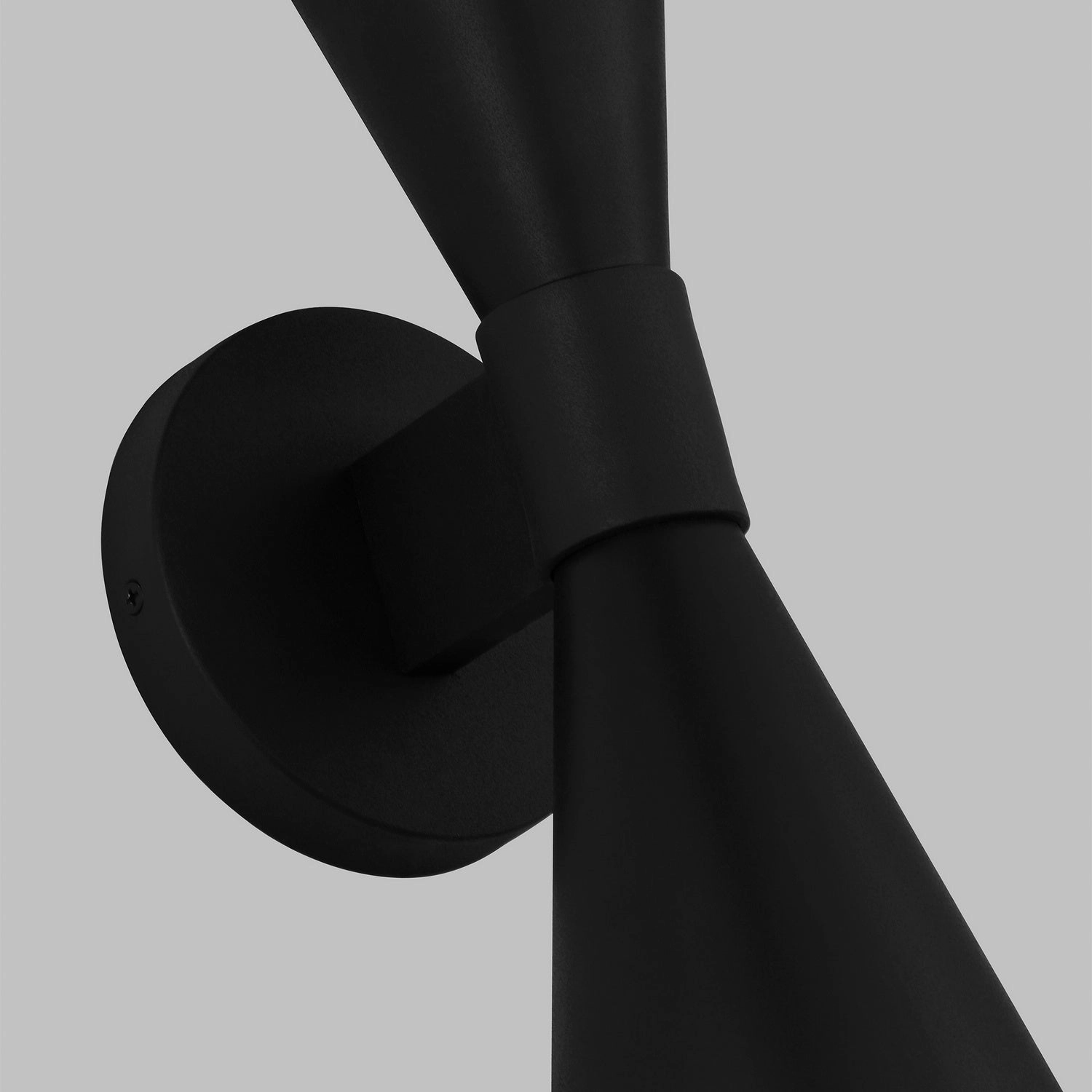 Albertine Outdoor Wall Sconce Textured Black