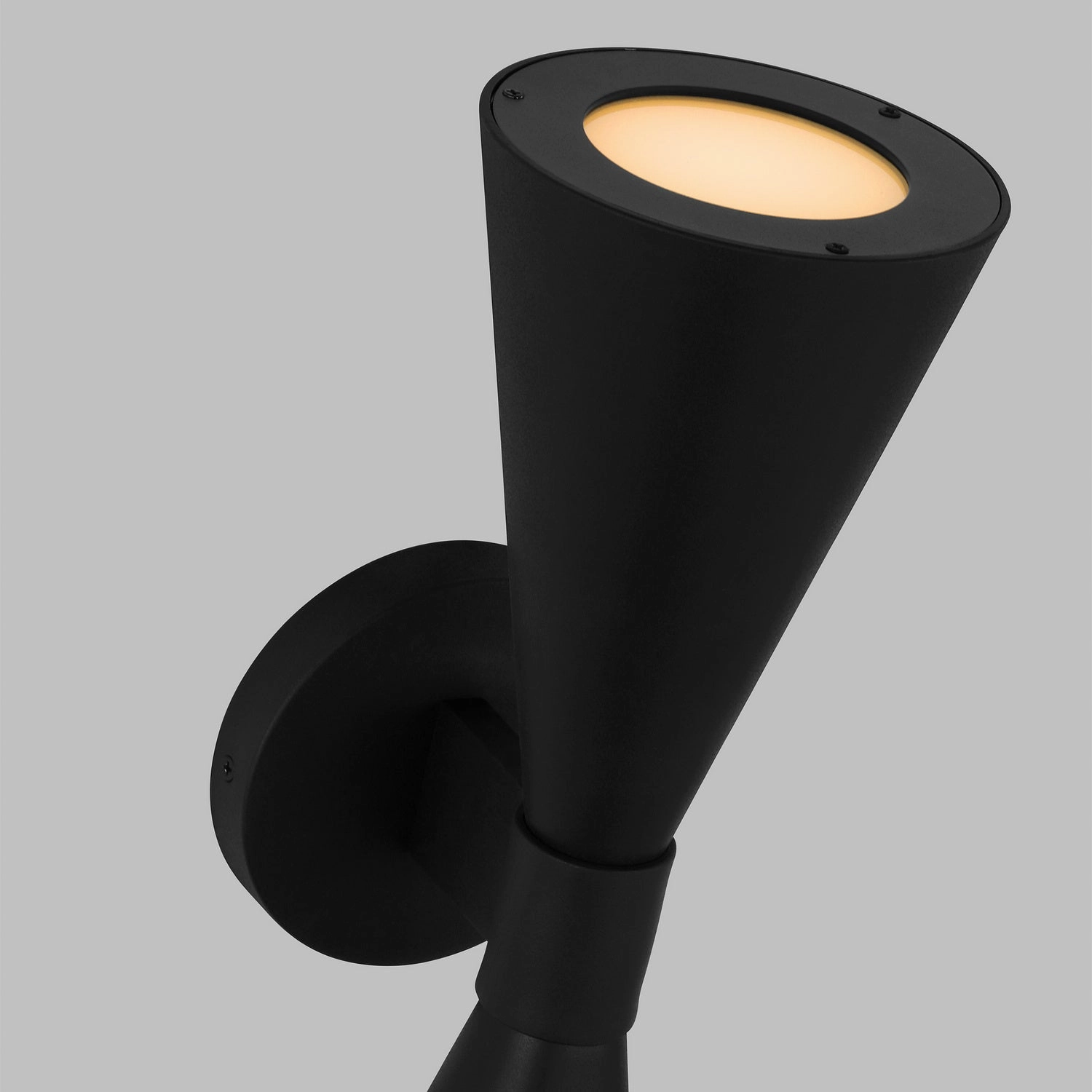 Albertine Outdoor Wall Sconce Textured Black