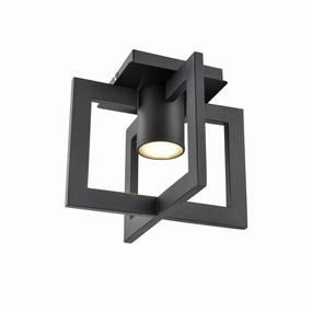 Astrid Outdoor Ceiling LightWeatherproof outdoor lighting