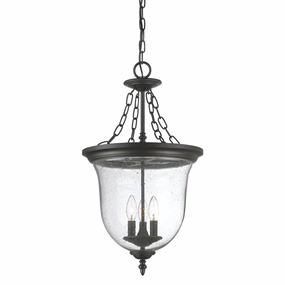 Belle Outdoor PendantWeatherproof outdoor lighting