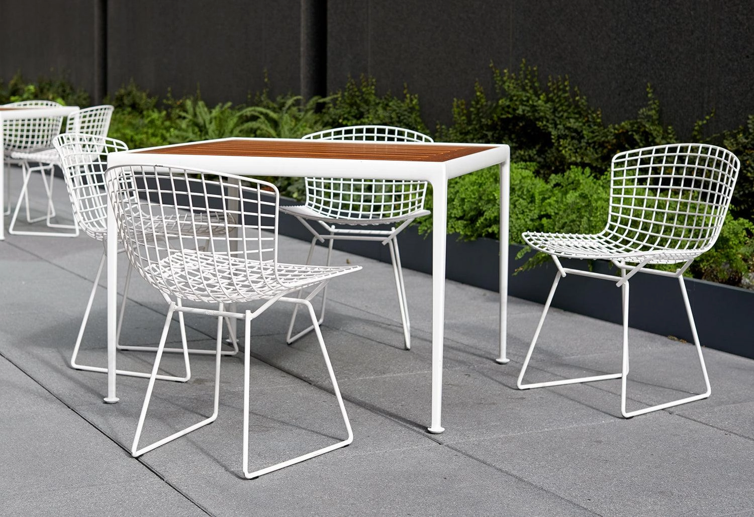 Bertoia Outdoor Side Chair