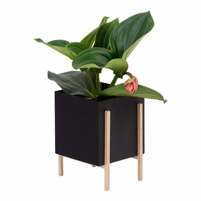 Botanic PotDurable outdoor patio accessories
