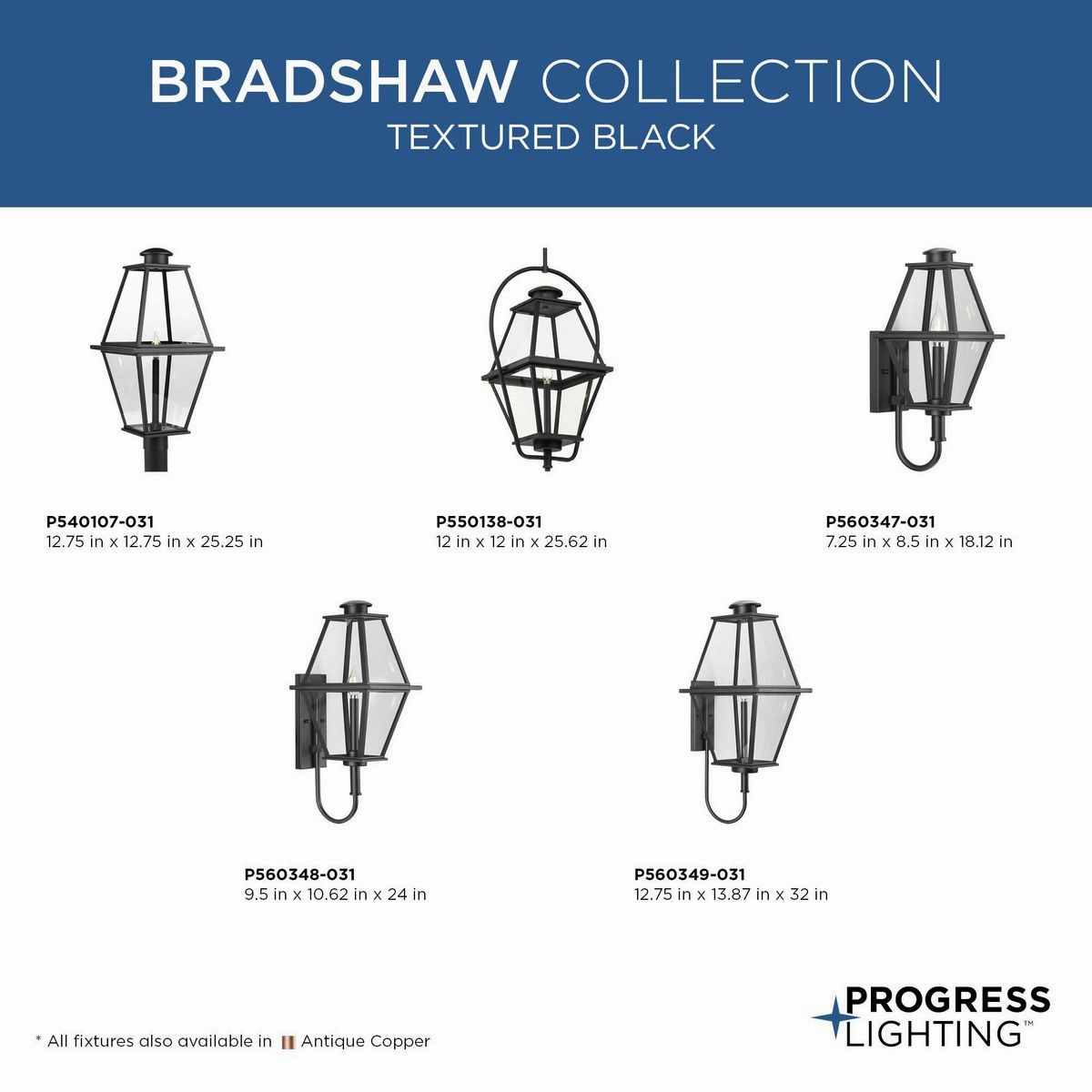 Bradshaw One Light Outdoor Wall Lantern Black