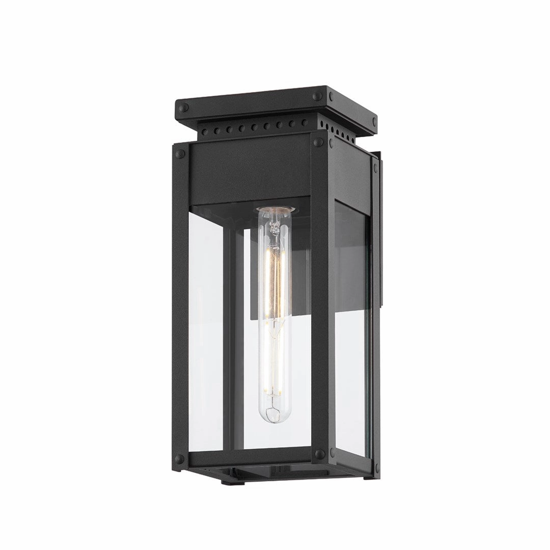 Braydan 1-Light Exterior Wall SconceWeatherproof outdoor lighting