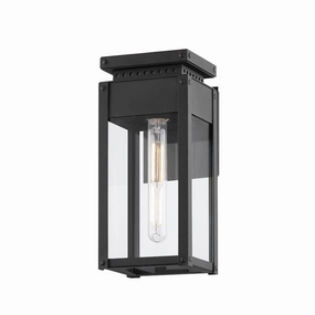 Braydan 1-Light Exterior Wall SconceWeatherproof outdoor lighting