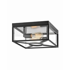 Brixton Outdoor Ceiling LightWeatherproof outdoor lighting