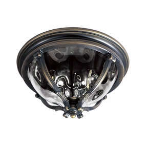 Camden VX Outdoor Ceiling LightWeatherproof outdoor lighting