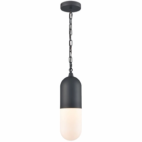 Capsule 1 Light Outdoor PendantWeatherproof outdoor lighting