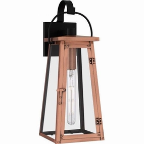 Carolina 1-Light Large Outdoor LanternWeatherproof outdoor lighting