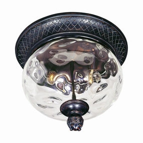 Carriage House DC Outdoor Ceiling LightWeatherproof outdoor lighting