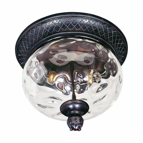 Carriage House VX Outdoor Ceiling LightWeatherproof outdoor lighting