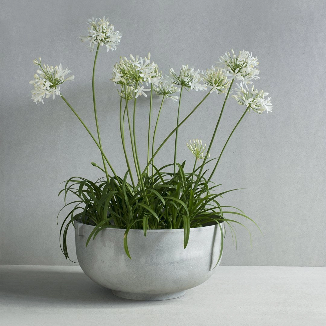 Castle Planter