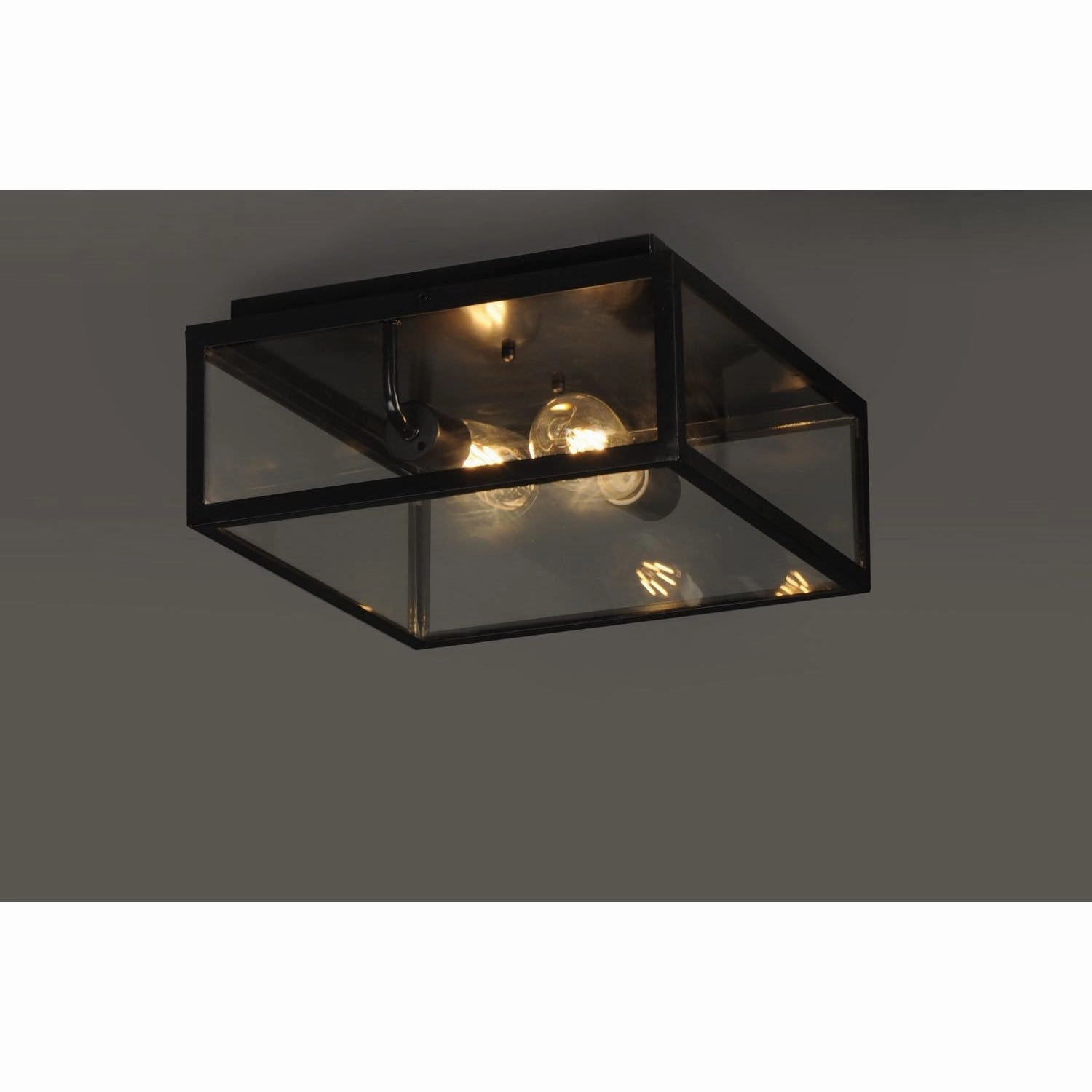 Catalina Outdoor Ceiling Light