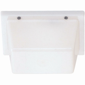 Ceiling / Wall Mount Outdoor LightWeatherproof outdoor lighting