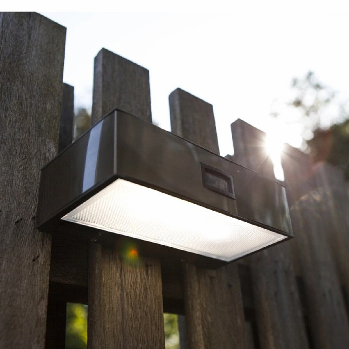 CGC KIRBY Stainless Steel LED Solar Outdoor Wall Light With Motion Sensor