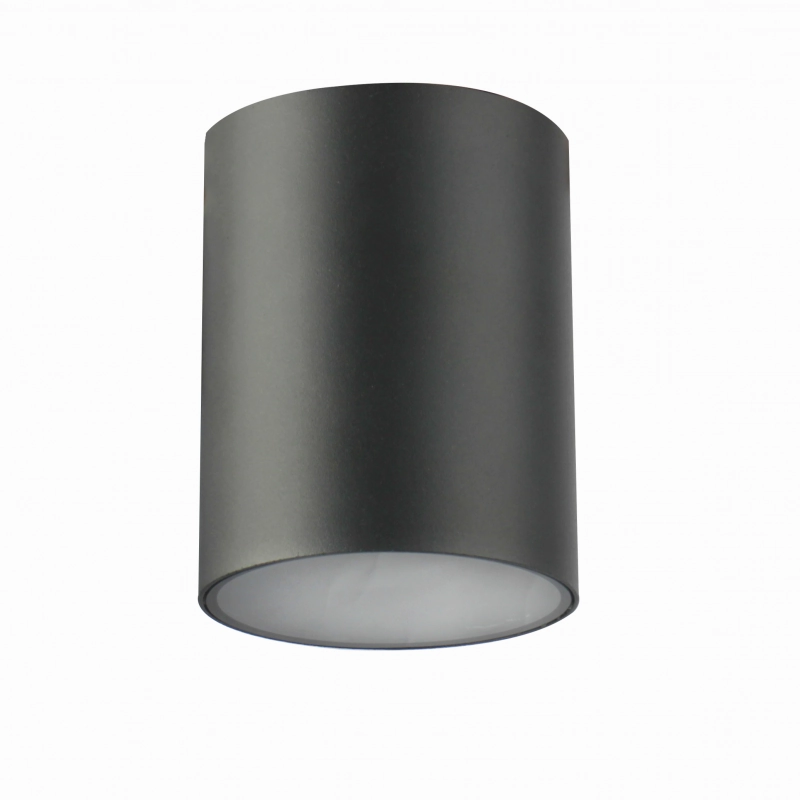 CGC LEN Round Dark Grey Anthracite Outdoor Surface Mount Downlight