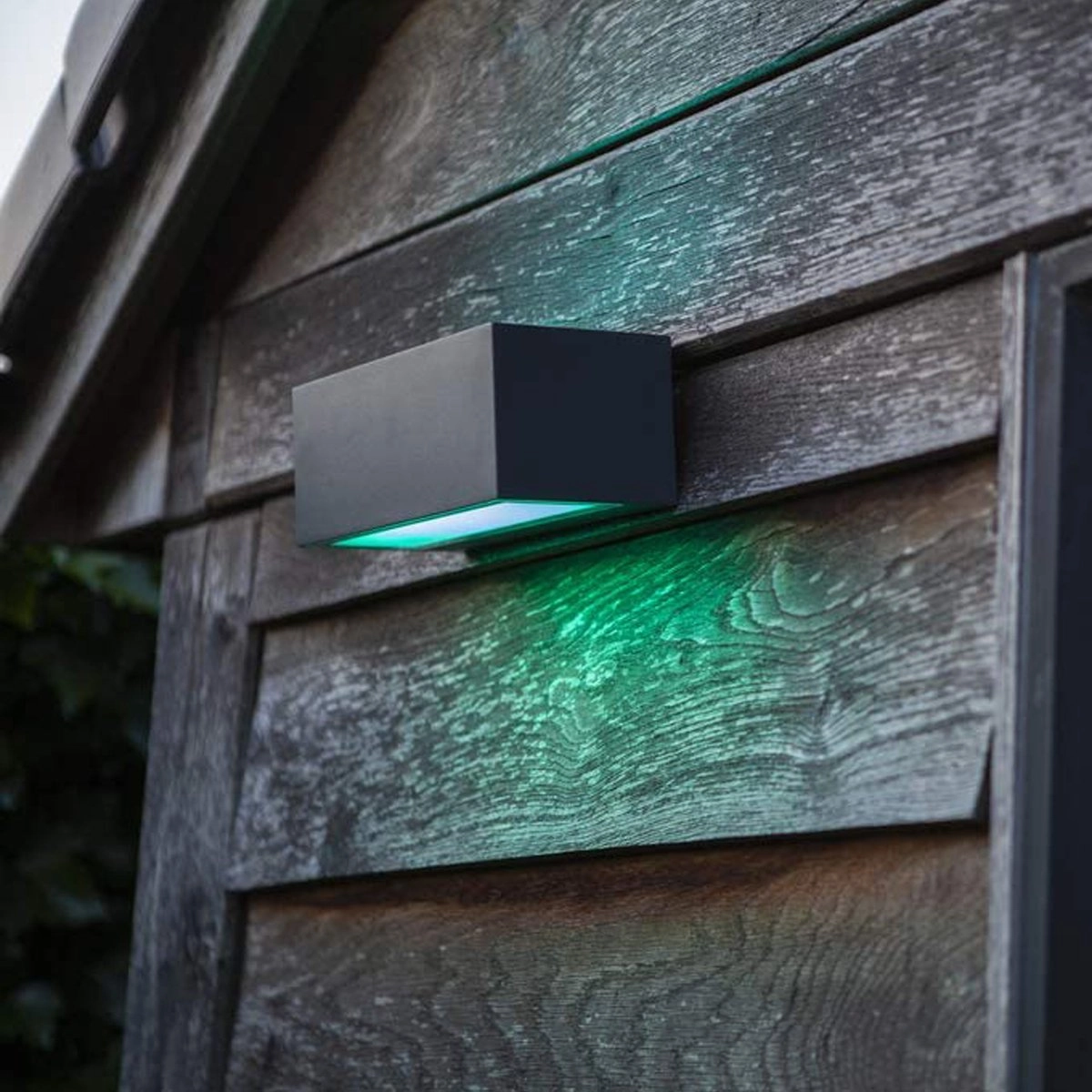 CGC LOTTIE Dark Grey RGB LED Wall Light