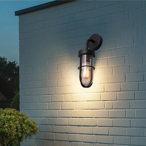 CGC MELODY Black Cage Curved Neck Outdoor Drop LightWeatherproof outdoor lighting