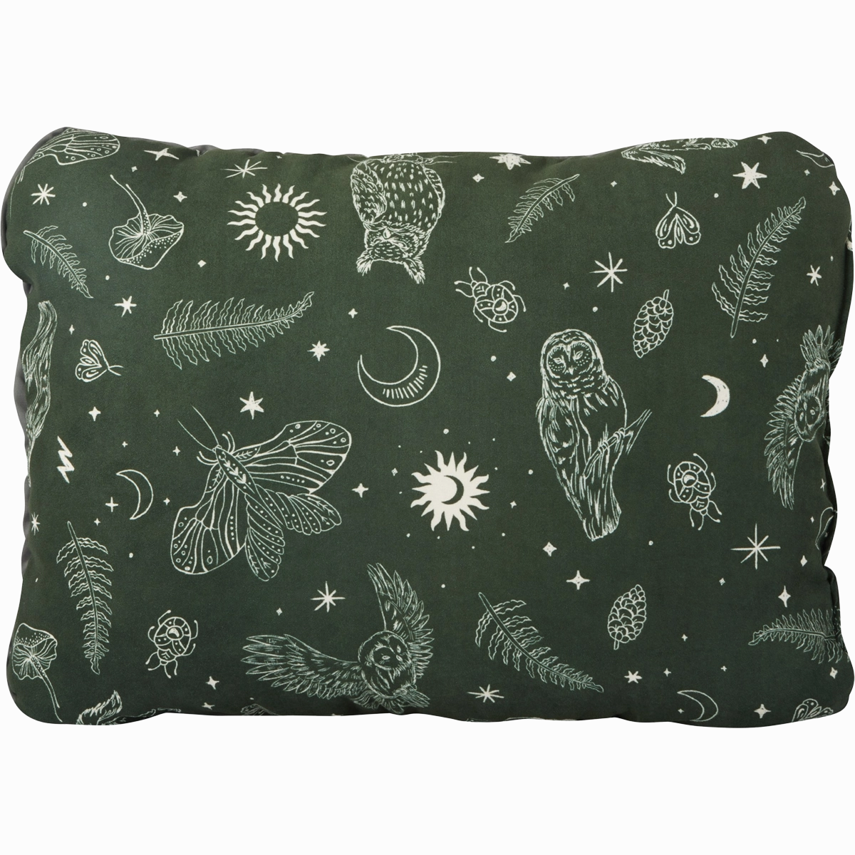 Clearance Steal Today Compressible Pillow Cinch Regular