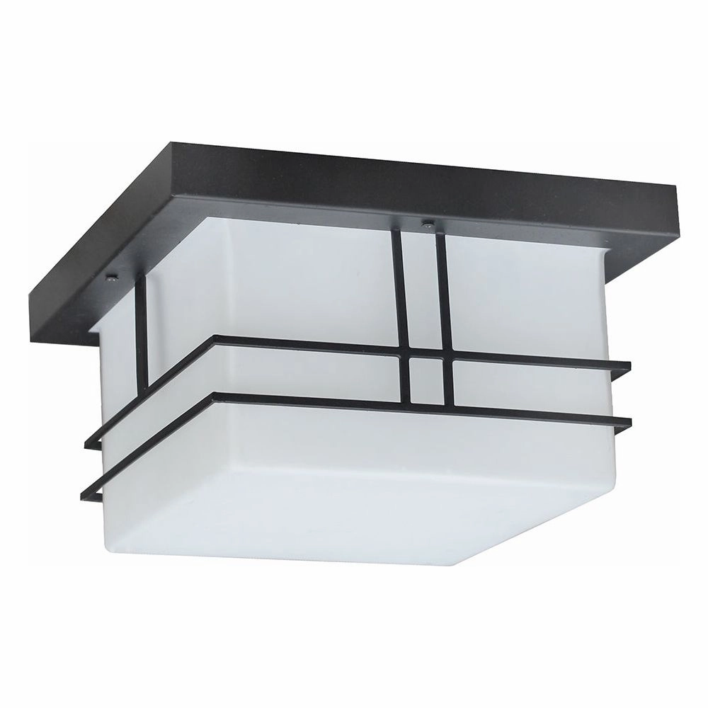 Cornwall 2-Light Outdoor Ceiling LightWeatherproof outdoor lighting