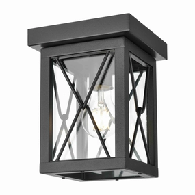 County Fair Outdoor Ceiling LightWeatherproof outdoor lighting