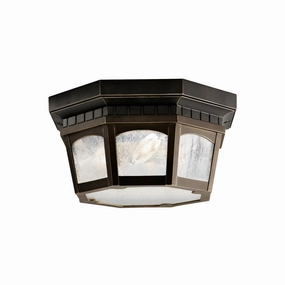 Courtyard Outdoor Ceiling LightWeatherproof outdoor lighting
