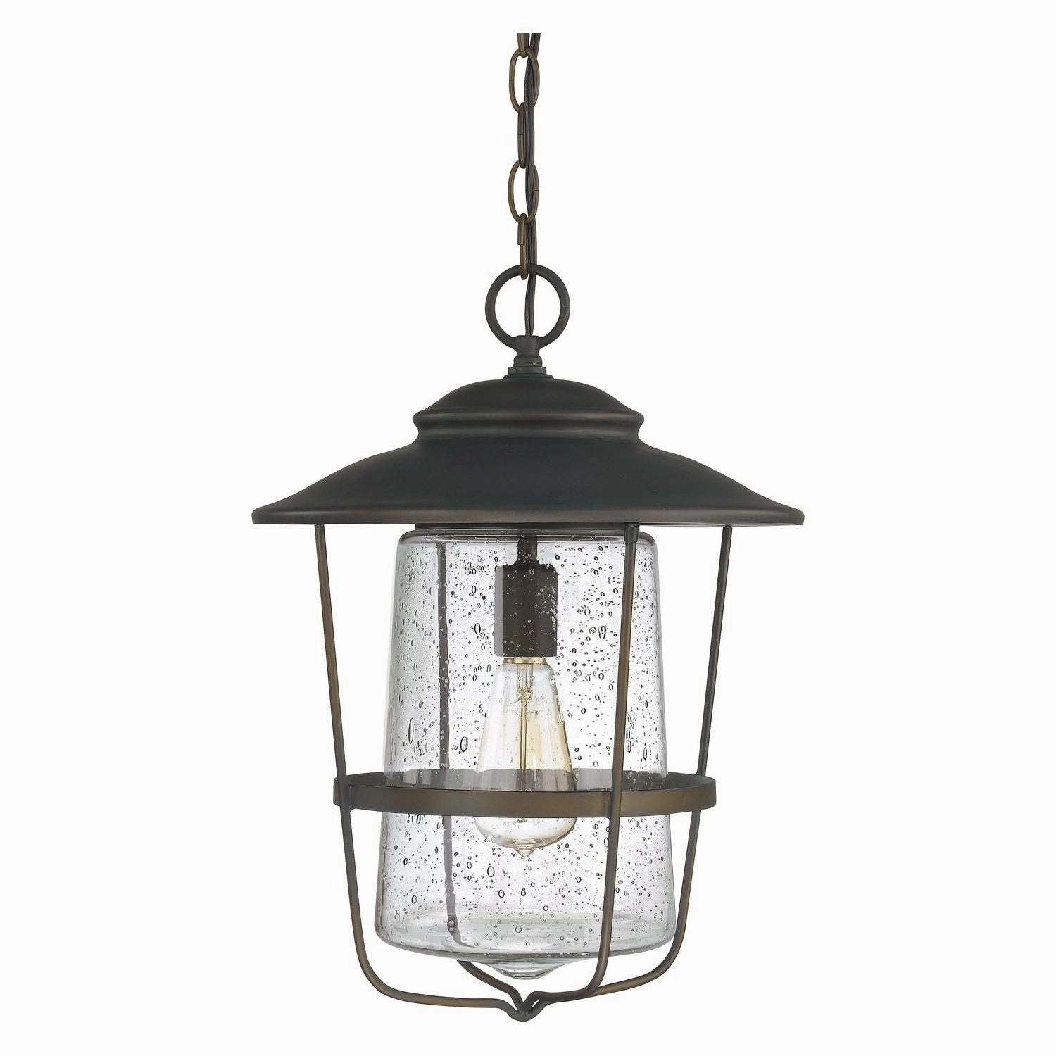 Creekside 1-Light Outdoor Hanging Lantern