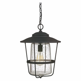Creekside 1-Light Outdoor Hanging LanternWeatherproof outdoor lighting