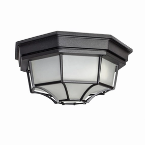 Crown Hill LED E26 Outdoor Ceiling LightWeatherproof outdoor lighting