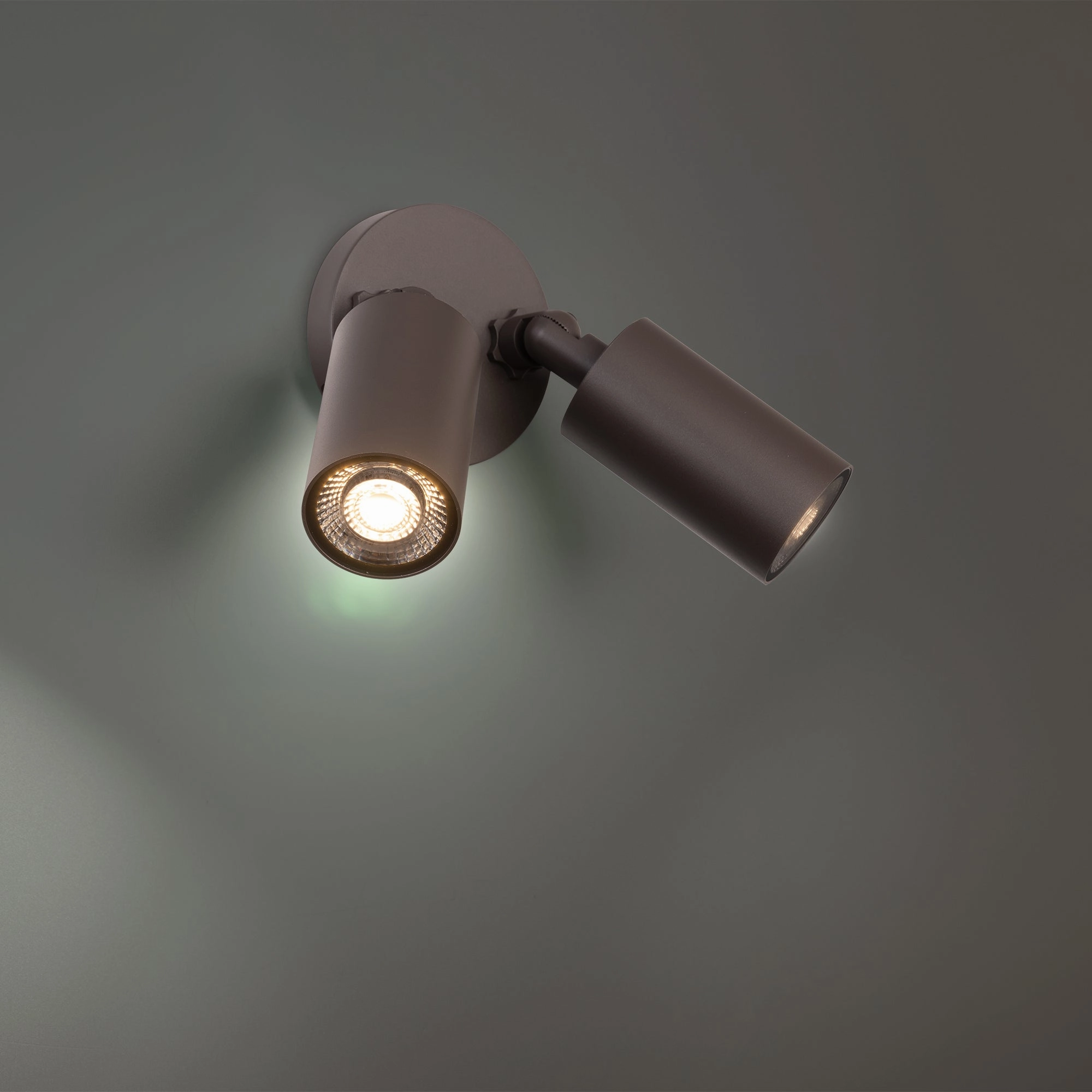 Cylinder LED Double Adjustable Indoor/Outdoor Wall Light