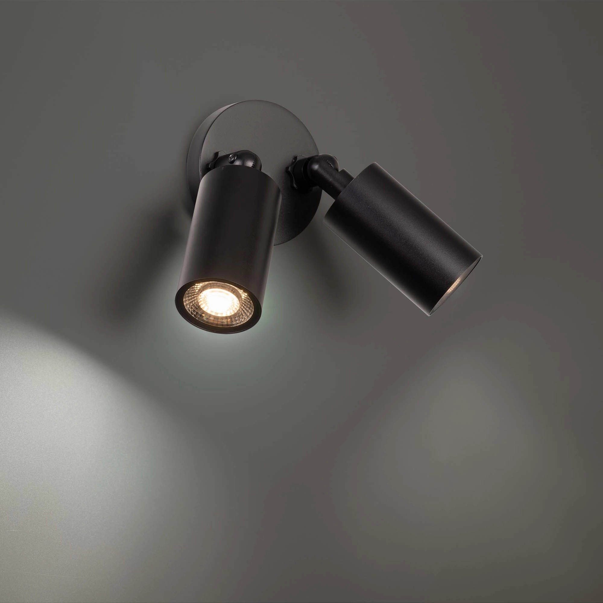 Cylinder LED Double Adjustable Indoor/Outdoor Wall Light