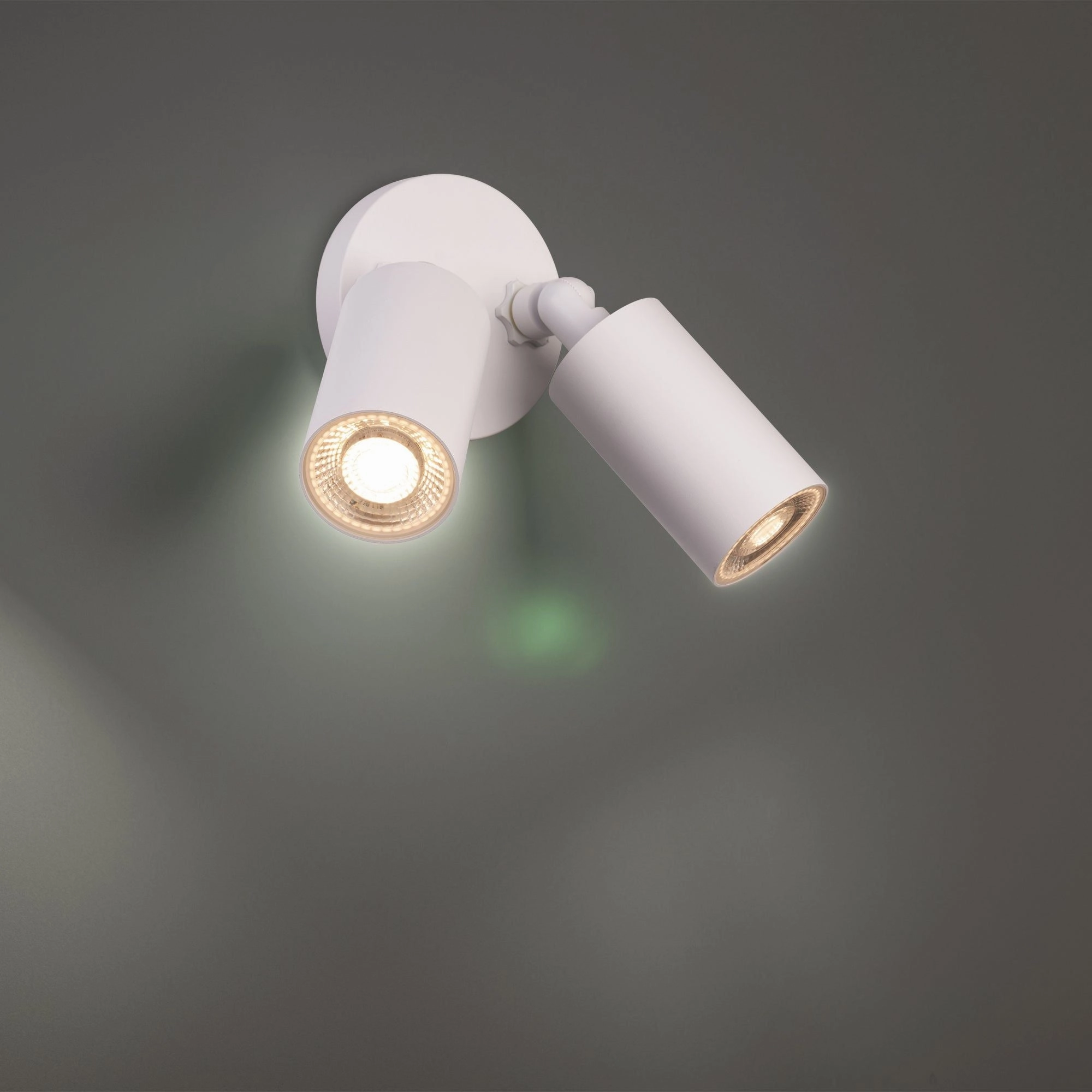 Cylinder LED Double Adjustable Indoor/Outdoor Wall Light