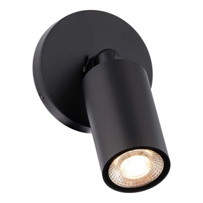 Cylinder LED Single Adjustable Indoor/Outdoor Wall LightWeatherproof outdoor lighting