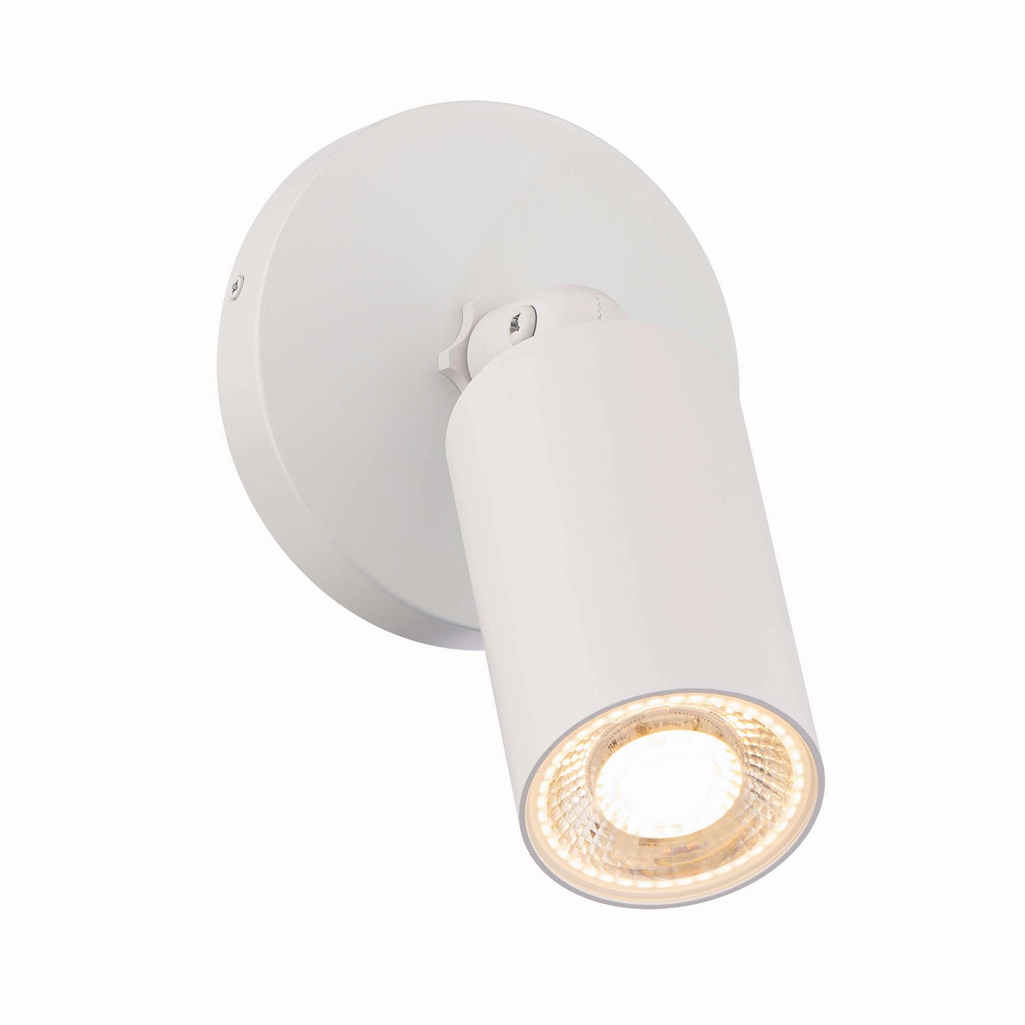 Cylinder LED Single Adjustable Indoor/Outdoor Wall Light