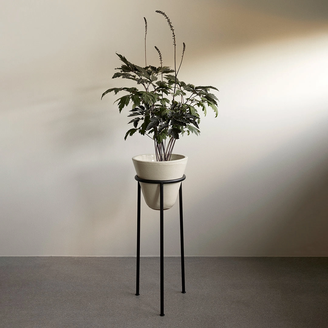 Daiza Planter