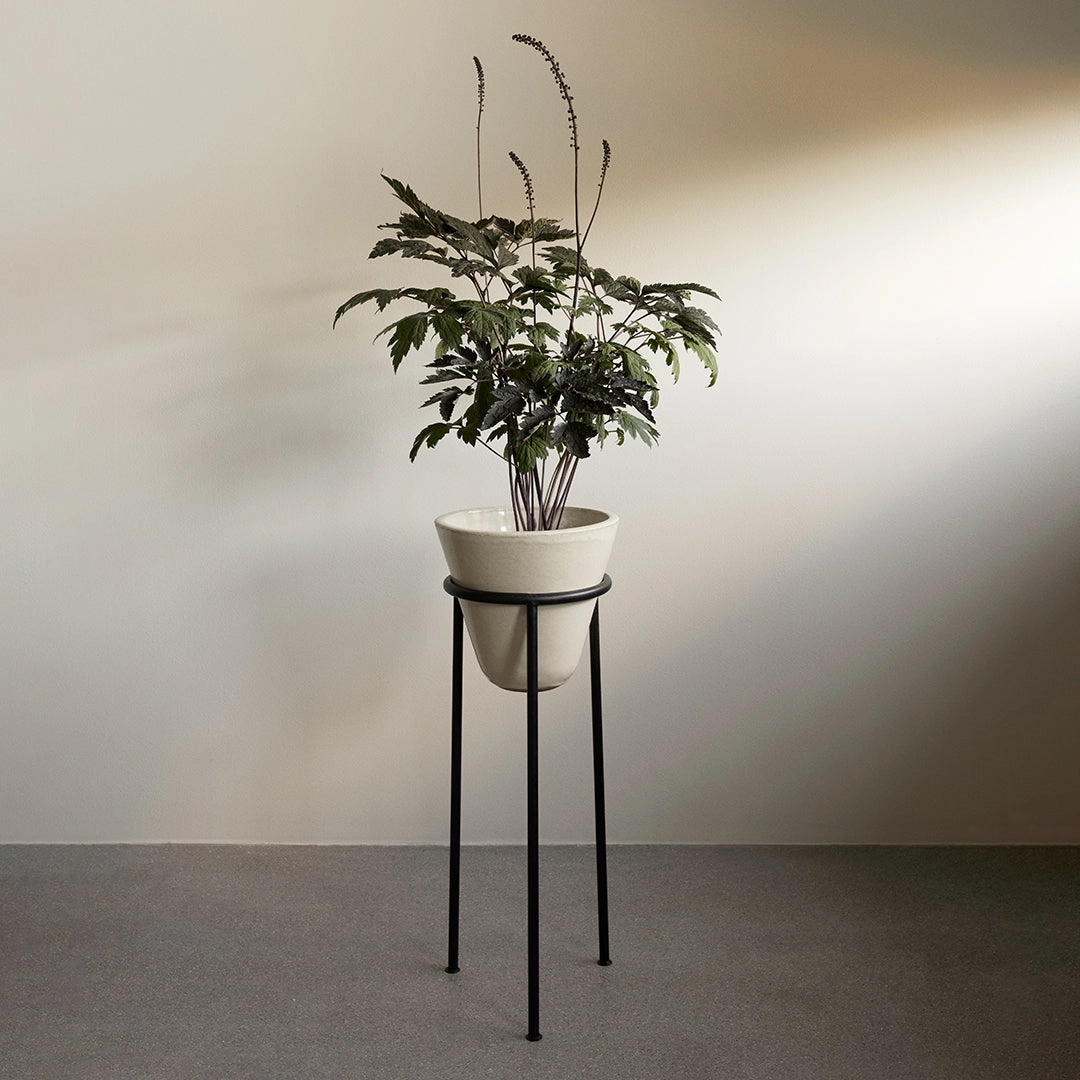 Daiza Planter