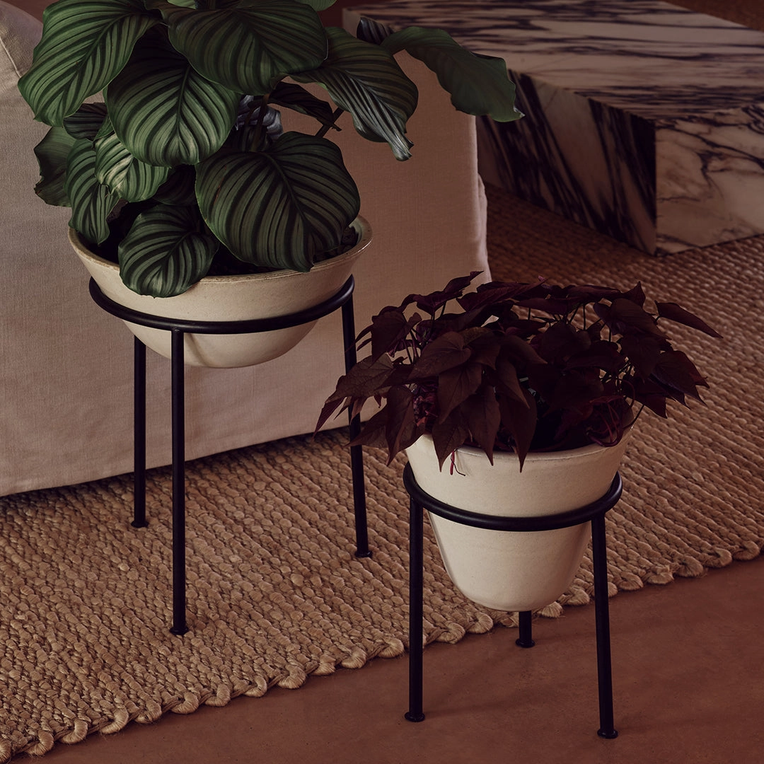 Daiza Planter