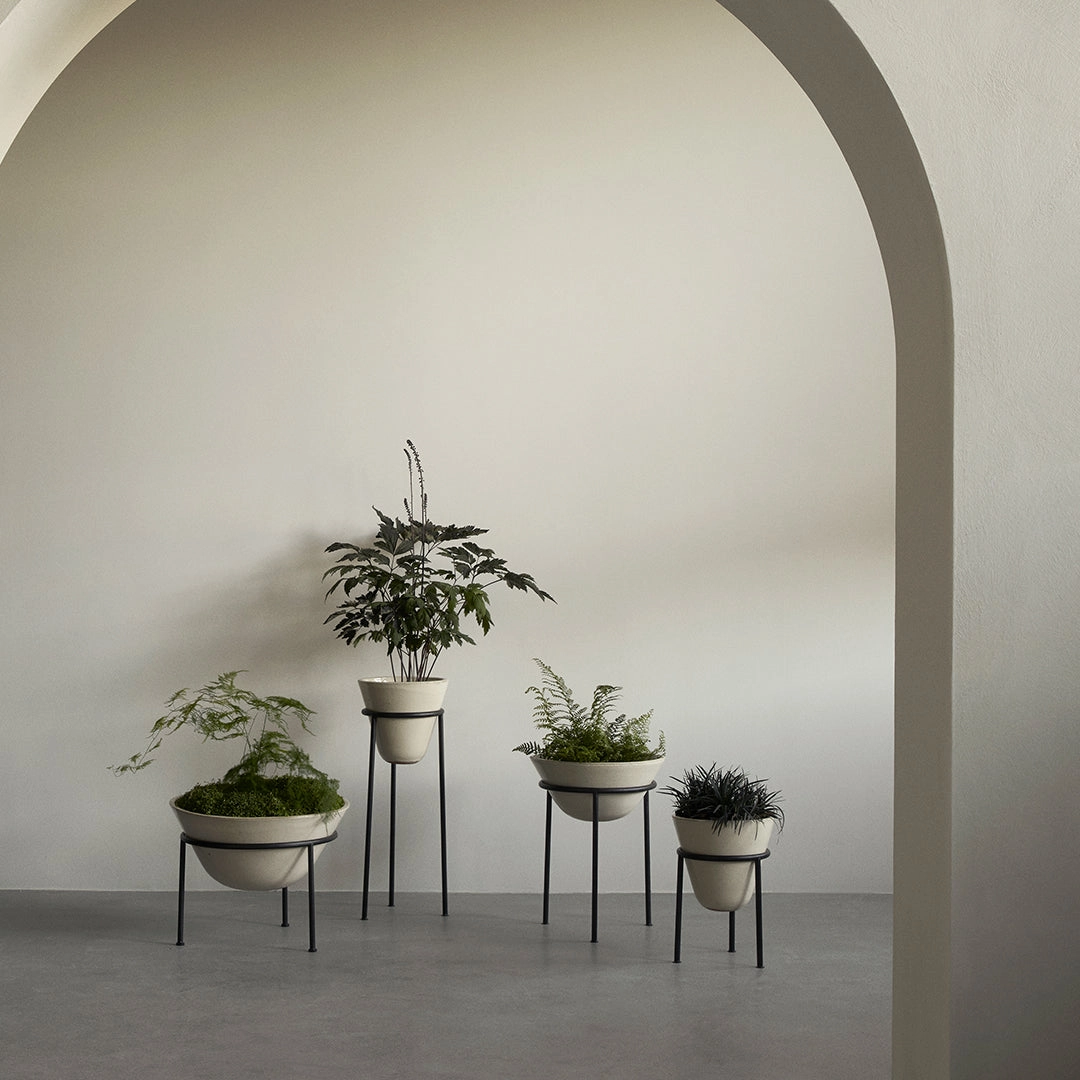 Daiza Planter