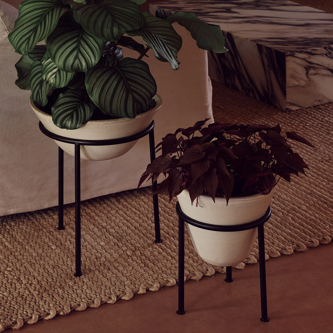 Daiza Planter