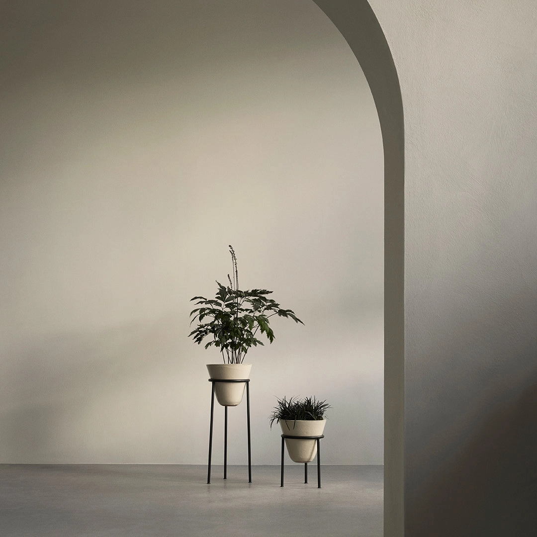 Daiza Planter
