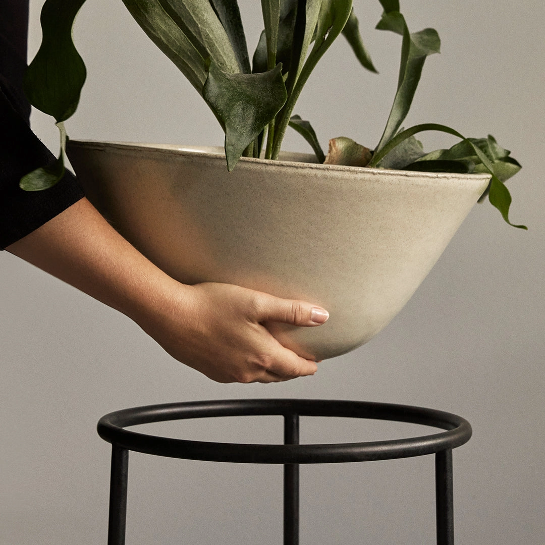 Daiza Planter