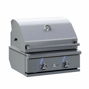 Delta Heat 26-Inch 2-Burner Built-In Gas Grill DHBQ26G-D compact BBQ grill for small spaces