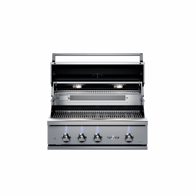 Delta Heat 32-Inch Built-In Gas Grill