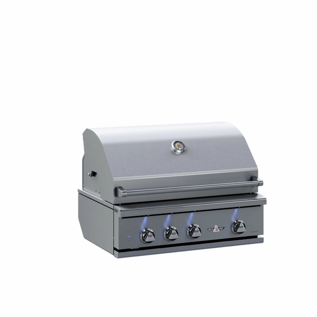 Delta Heat 32-Inch Built-In Gas Grill with Rotisserie DHBQ32R-D