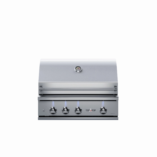 Delta Heat 32-Inch Built-In Gas Grill professional outdoor BBQ grill set