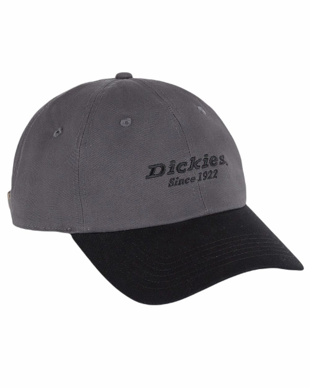 Shop the Best Deals Dickies Everyday Twill Cotton Cap