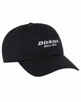 Special Online Offer Hot Deals Today Dickies Everyday Twill Cotton Cap