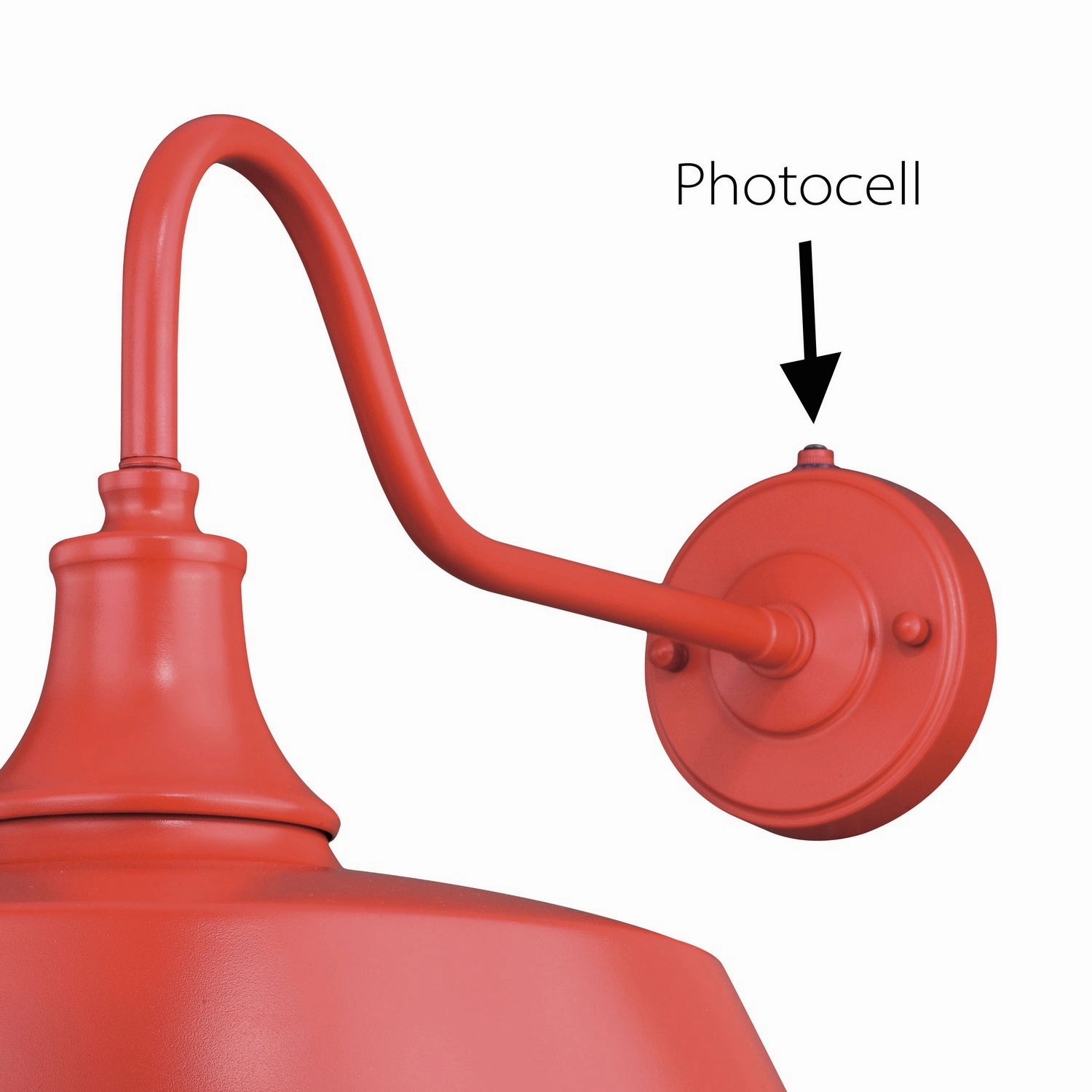 Dorado One Light Outdoor Wall Mount Red and White