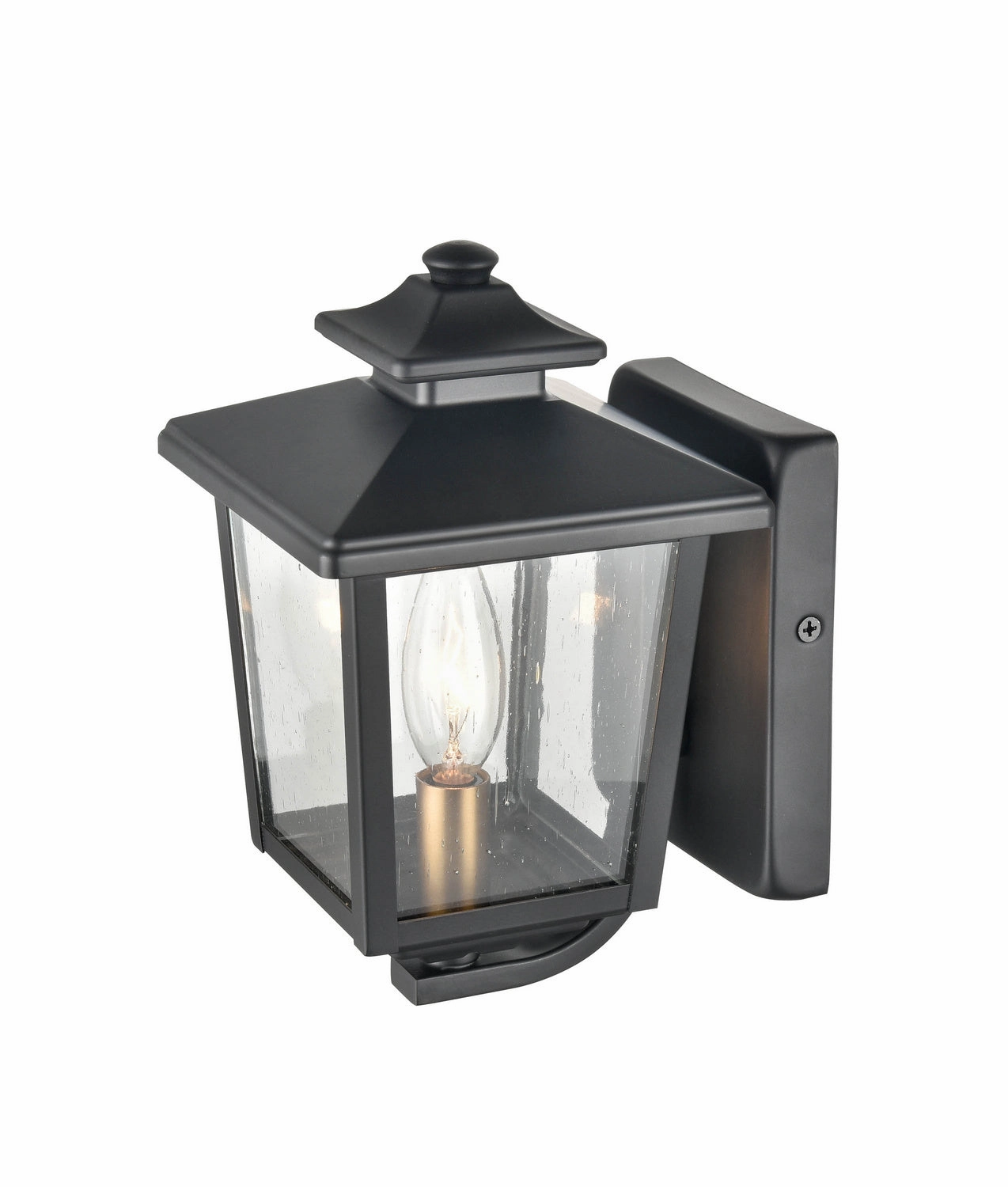 Eldrick One Light Outdoor Hanging Lantern Powder Coated Black